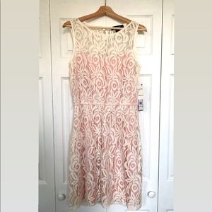 Pink and cream Femme Lace Dress NWT
